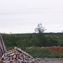 <p align=left>Comme, ça au bord de la route, les cordes de bois identifiées, que personne ne vole, paraît-il 